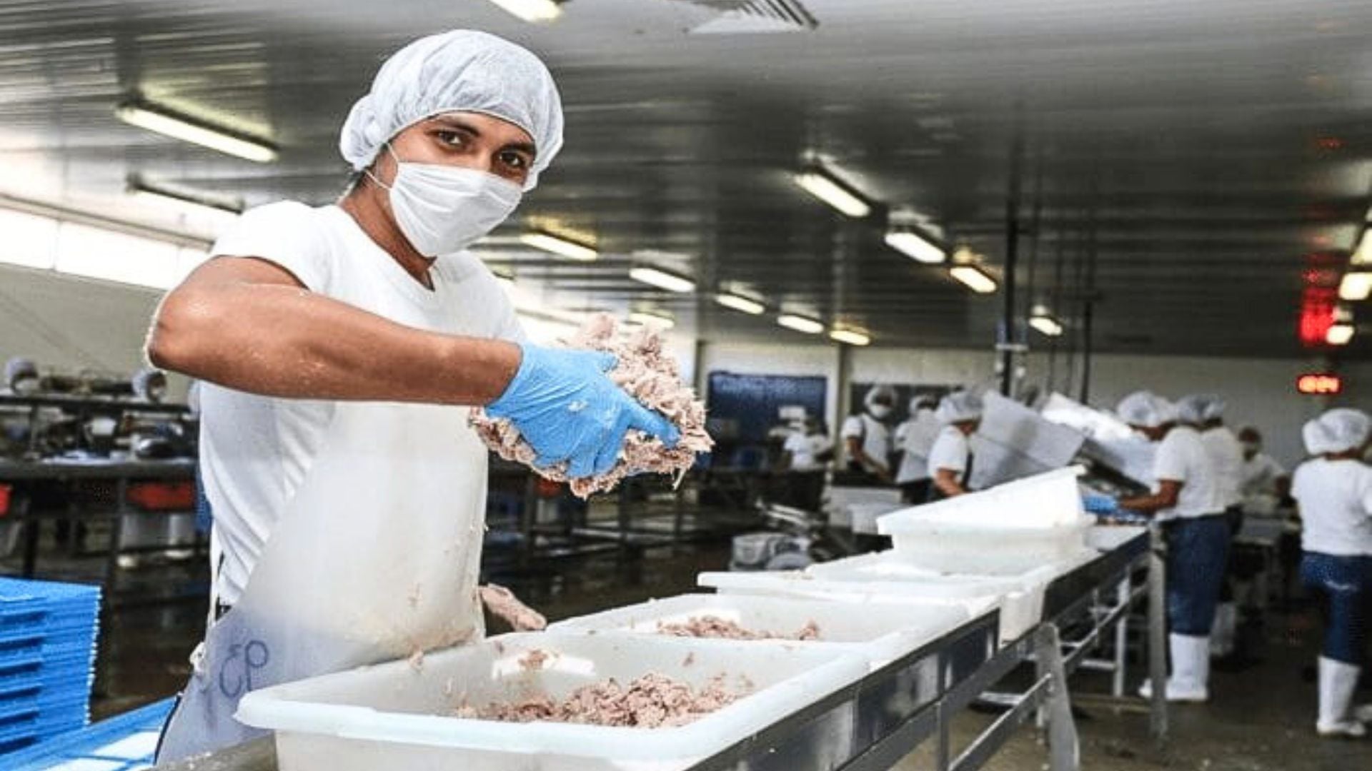 En junio, el Perú tuvo su segundo mayor crecimiento económico. En los últimos doce meses el país creció en 3,75%. - Crédito The Logistics World