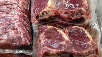 Más de 50 destinos y