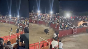 Video: así fue el impactante momento en el que un toro de corralejas hirió a varias personas en Coyaima, Tolima