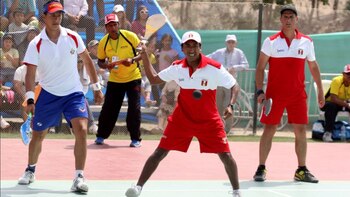 Paleta frontón (Andina)