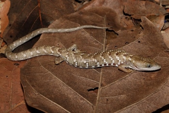El resultado de esta investigación