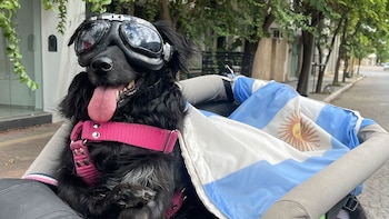 Con la bandera argentina, Valeria