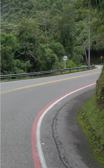 El diseño de las líneas