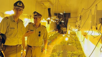 El fiscal a cargo de