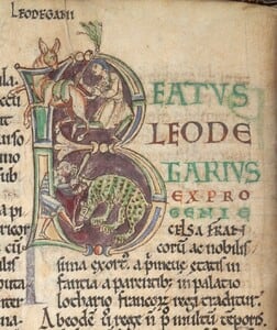 Un registro de Norwich sugiere que antes de 1066 ya se entregaron al rey 1 oso y 6 perros, lo que impide fijar a la conquista normanda como origen comprobado de las peleas de osos (Gentileza, estudio Los orígenes de las peleas de osos: evidencia de la Inglaterra y Francia medievales, publicado en Society & Animals)