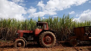 Crisis en Cuba: el régimen