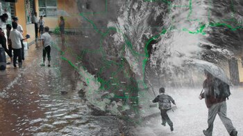 Diferentes entidades federativas han comenzado