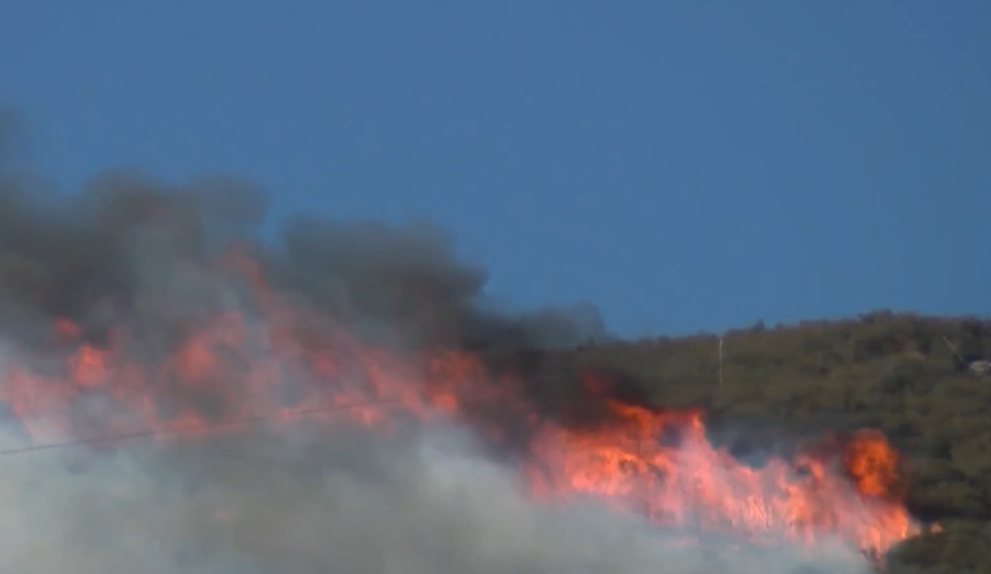 La acumulación de vegetación densa tras dos décadas sin siniestros en la zona aceleró la propagación del fuego en Santa Clarita (NBC4)