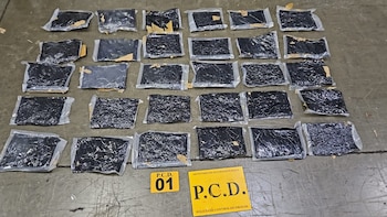 Nuevo golpe al narcotráfico en Costa Rica: decomisan 50 kilos de cocaína ocultos en contenedores con destino a Europa