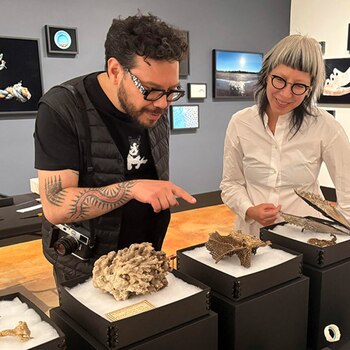 El colectivo TRES documentó la