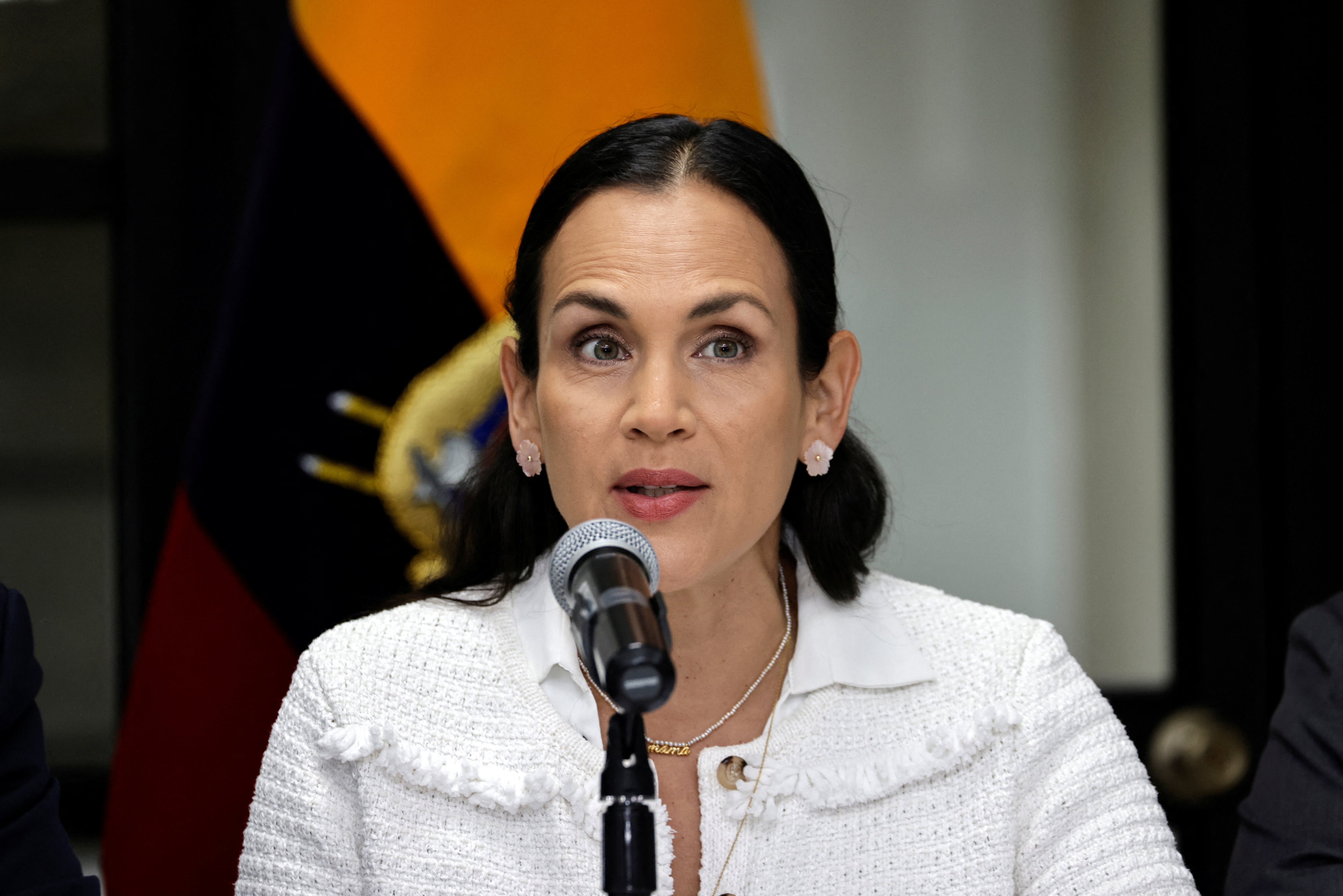 La ex ministra de Energía y ahora embajadora, Inés Manzano. REUTERS/Karen Toro