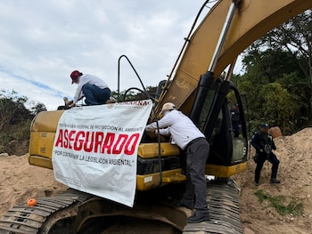 En el lugar se aseguró