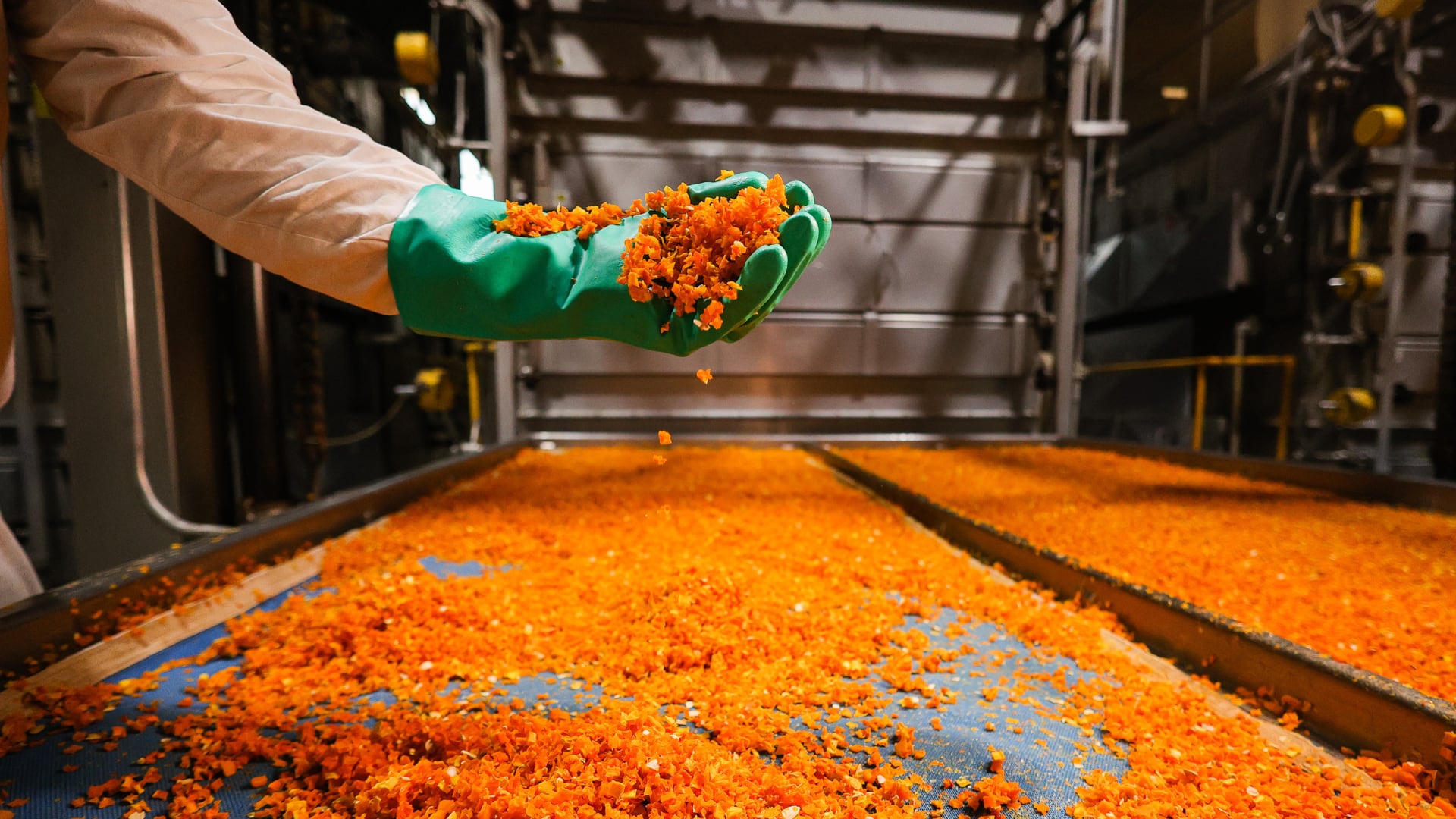 La planta de Guaymallén procesaba alrededor de 3.500 toneladas de vegetales por año (Knorr)