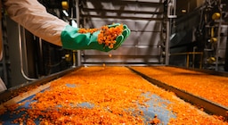 A cuánto llegarán el dólar y la inflación a fines de 2027: los dos escenarios que proyectó una calificadora de riesgo 2 Una multinacional cerró una planta de producción en Mendoza y despidió a todos sus empleados