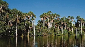 Cada 17 de octubre, Perú
