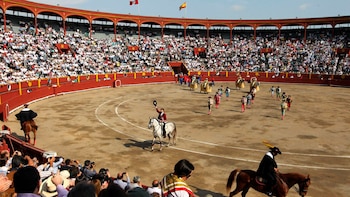 Día Mundial Antitaurino: la fecha global que rechaza a las corridas y desde cuándo se conmemora