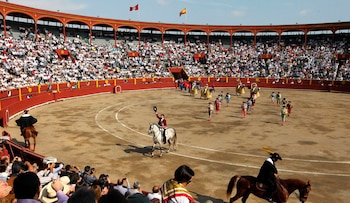 Día Mundial Antitaurino – movimiento antitauromaquia - Perú – noticias – 25 junio