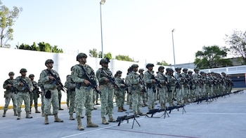 EN VIVO | Seguridad, narcotráfico y crimen en México hoy 6 de agosto: Cómo los cárteles convirtieron el aguacate de Michoacán en uno de sus negocios más rentables