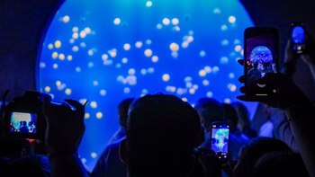 El acuario de Mazatlán fue