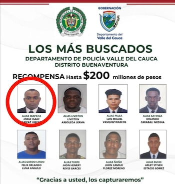 Un despliegue en Paurito, Bolivia, permitió la aprehensión de uno de los cabecillas criminales más buscados de Colombia, mientras otros doce sospechosos también fueron detenidos y se incautaron armas durante la intervención - crédito Policía Nacional de Colombia