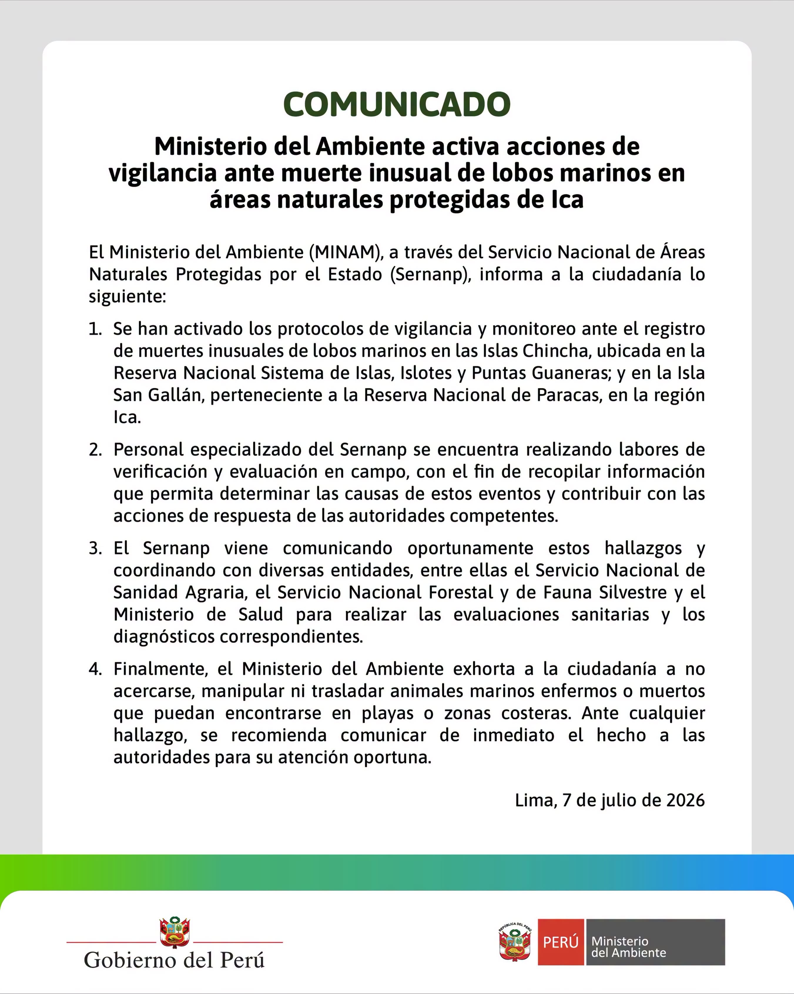 El Ministerio del Ambiente de Perú informa sobre la activación de protocolos de vigilancia por la muerte de lobos marinos en las Islas Chincha e Isla San Gallán, en la región Ica. (Ministerio del Ambiente)