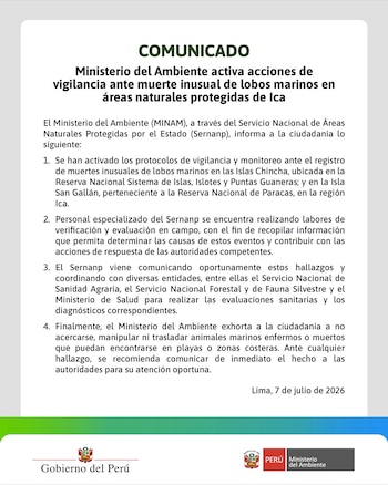 Comunicado oficial del Ministerio del Ambiente de Perú sobre la muerte de lobos marinos en Ica. Incluye texto, logos gubernamentales y fecha