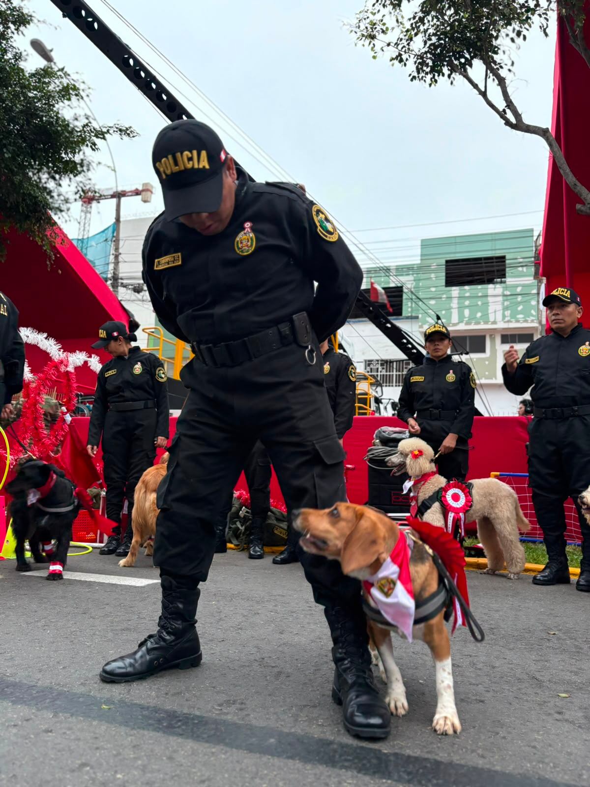 La Policía Nacional del Perú participa con su unidad canina en el Desfile y Parada Militar por Fiestas Patrias en la Avenida Brasil, en Lima.