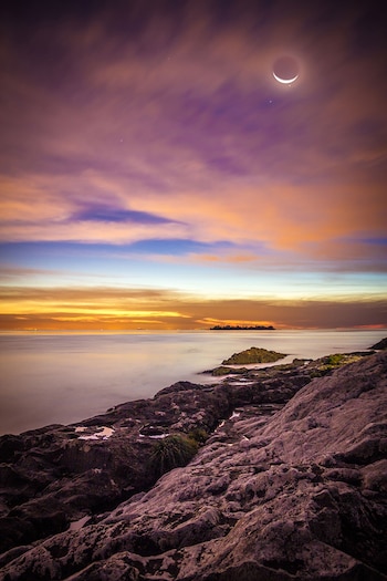 Imagen del día elegida por