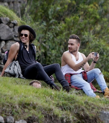 Harry Styles abordó sus sentimientos