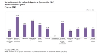 Mayores jalonadores de la inflación