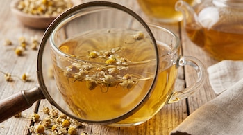Taza de vidrio con infusión de manzanilla y flores secas, una lupa sobre la taza, tetera y bol con manzanilla en mesa de madera.