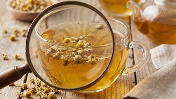 Infusión de manzanilla bajo la lupa - VisualesIA ScribNews