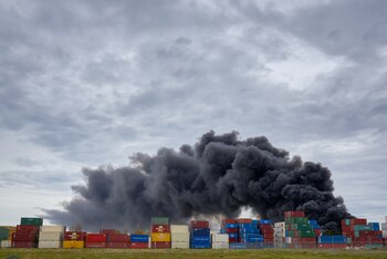 Estos datos, obtenidos a partir