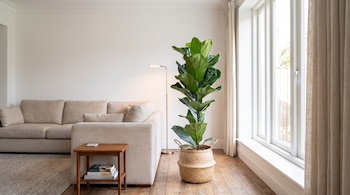Una sala de estar con sofá color beige, una mesa auxiliar de madera, libros, alfombra, una planta de hojas verdes en canasta, lámpara de pie y ventana con cortinas.