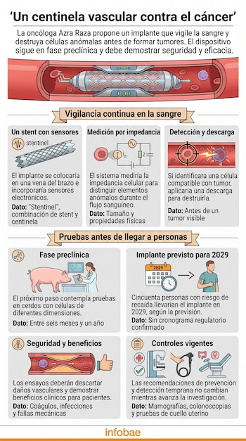 Infografía con esquemas de un stent vascular, gráficos de flujo sanguíneo, un cerdo de laboratorio, un calendario y símbolos médicos.