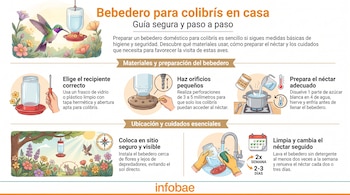 Infografía muestra un colibrí, un bebedero, frascos, herramientas, utensilios de cocina, un gato, un calendario y texto con instrucciones.