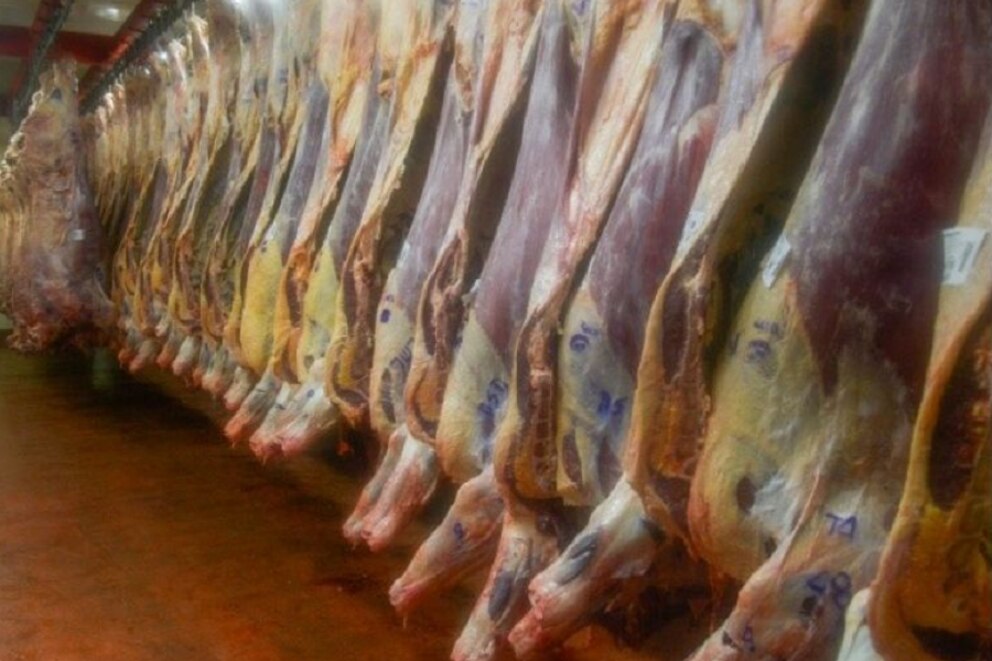 La carne vacuna en alerta: advierten posible suba de precios por falta de stock ganadero