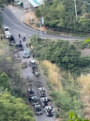 Por el Operativo Enjambre la