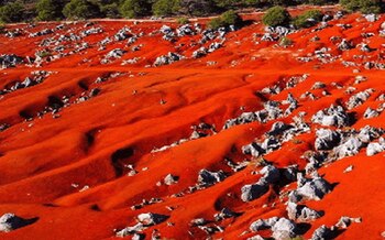 El lugar también cuenta con