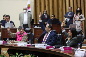 El Consejo General decidió por
