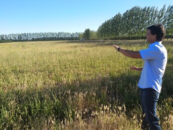 Roberto Gómez, del INTA Alto