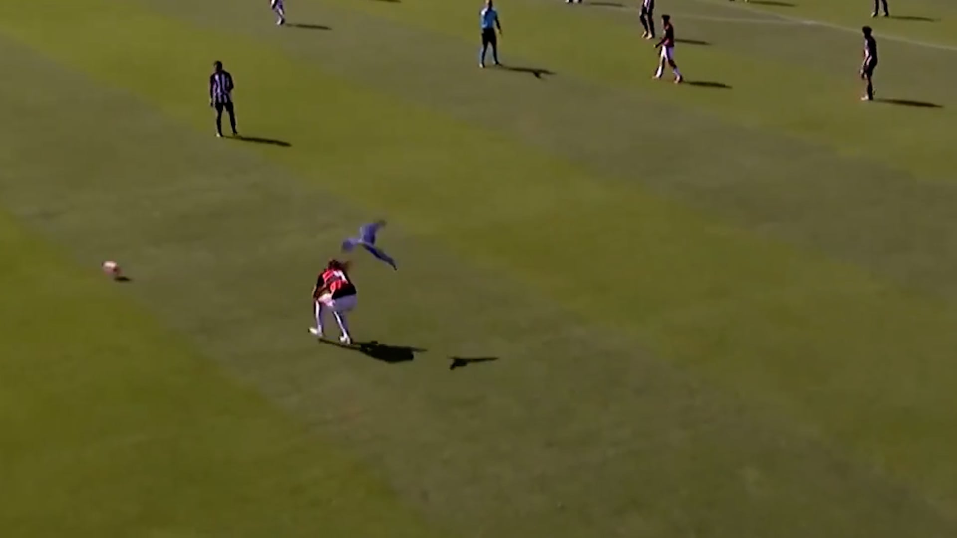 El episodio se produjo durante el duelo entre Flamengo y Ceará sub 15