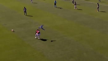 Insólito episodio en el fútbol de Brasil: un ave intentó atacar a un futbolista en pleno partido