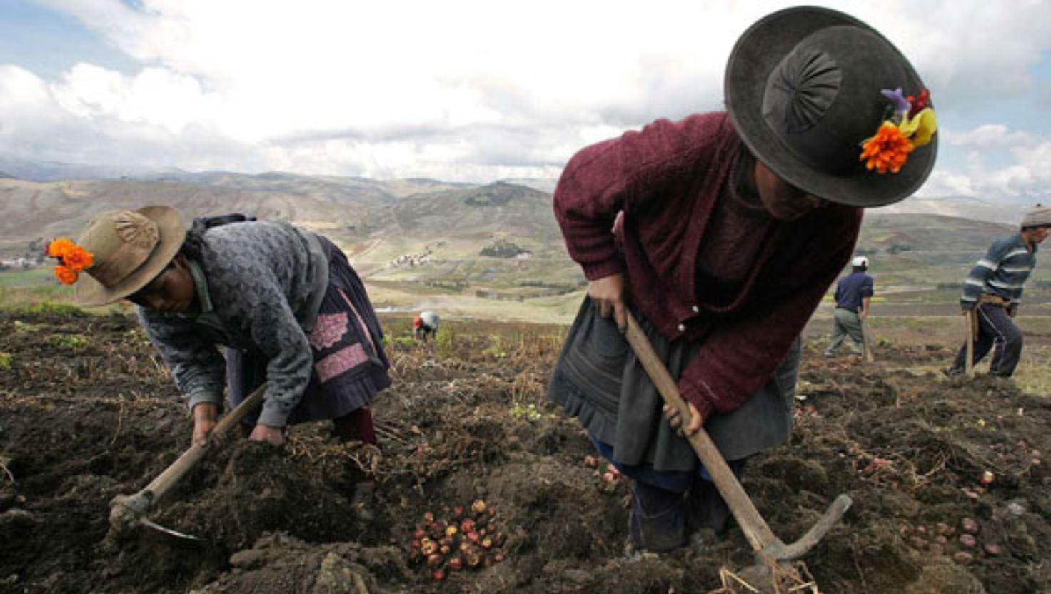 agricultura - miragri