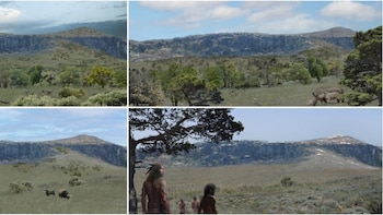 Las plantas tenían un papel
