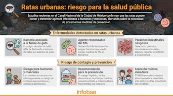 Infografía con título sobre ratas urbanas y riesgo para la salud pública. Ilustra roedores, basura, bacterias, parásitos, medidas de prevención y atención médica.