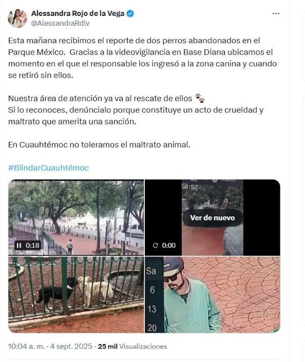 Alessandra Rojo de la Vega pidió apoyo para identificar al dueño de los perros. | X- Alessandra Rojo de la Vega