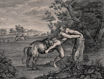 La leyenda del campeón ofrece