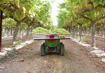 El dispositivo apoya a los