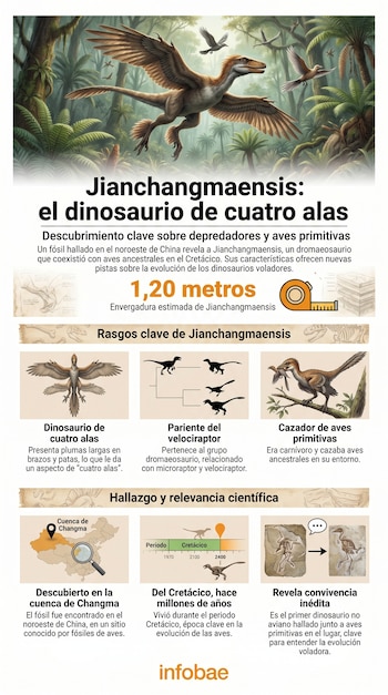 Ilustración de un dinosaurio Jianchangmaensis de cuatro alas volando sobre un bosque tropical prehistórico, con otras aves ancestrales en el fondo.